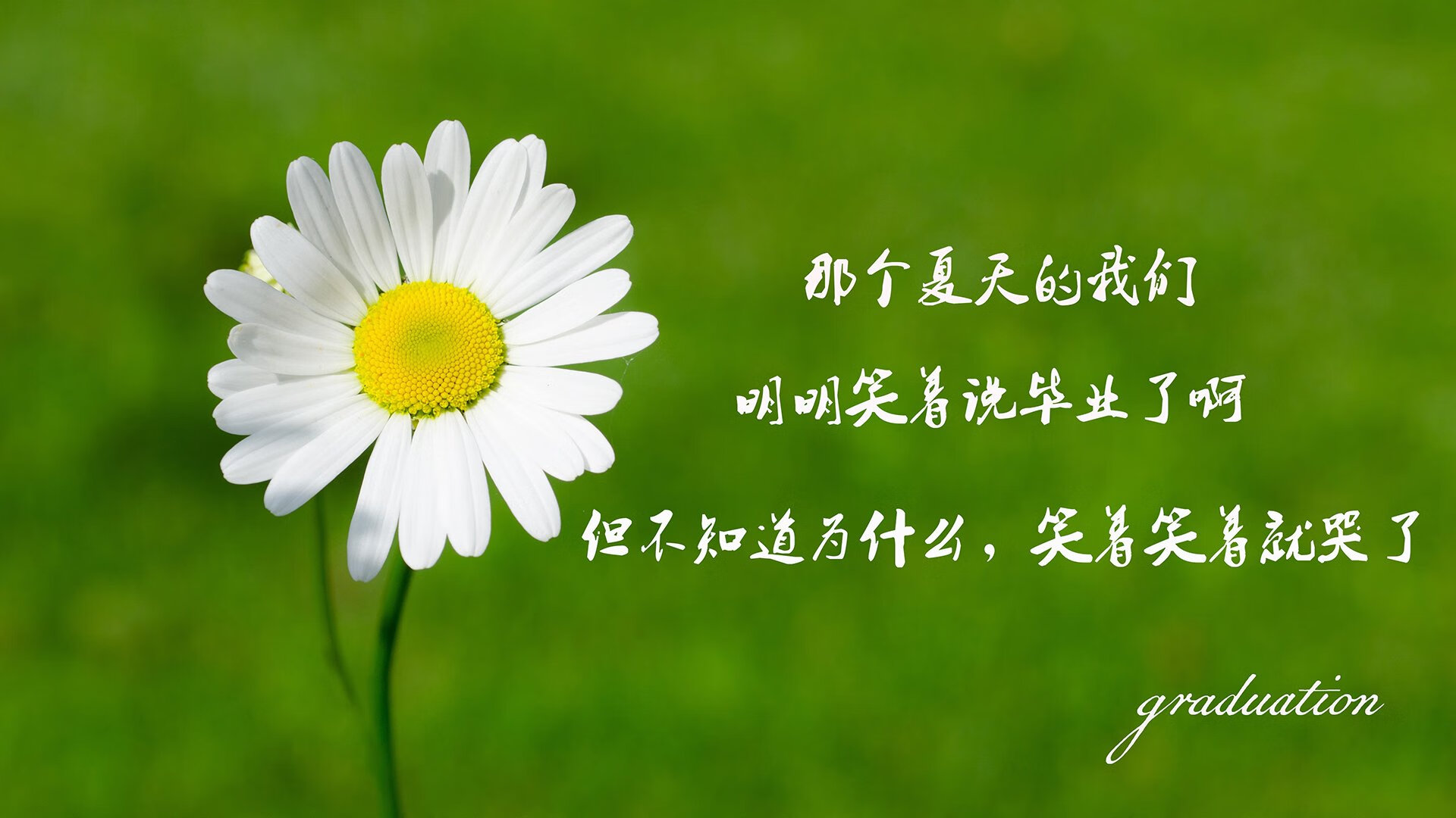 九游网页版官网入口-桑托斯中场核心发挥稳定，桑托斯f1