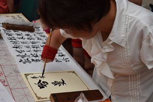 -全国青少年趣味障碍挑战赛创造佳话，少儿障碍挑战赛