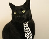 篮球运动员训练负荷监测与调控技术,篮球项目负荷特征分析