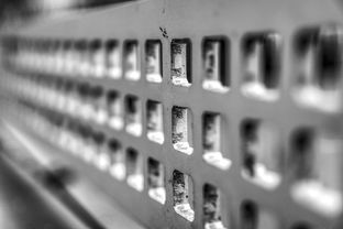 -青少年体质监测结果区域对比研究，青少年健康体质检测中心