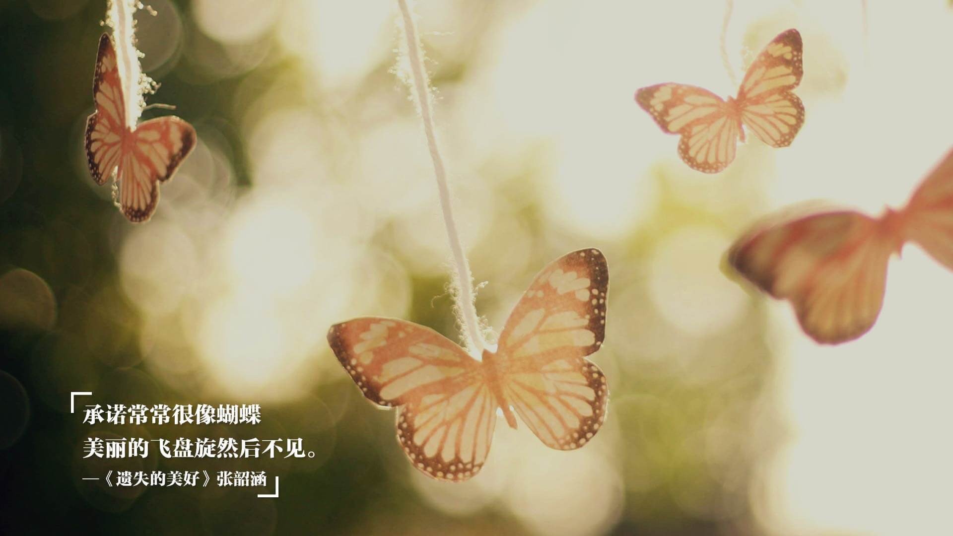 CBA联盟聚焦青少年篮球人才培养模式创新,青少年篮球后备人才