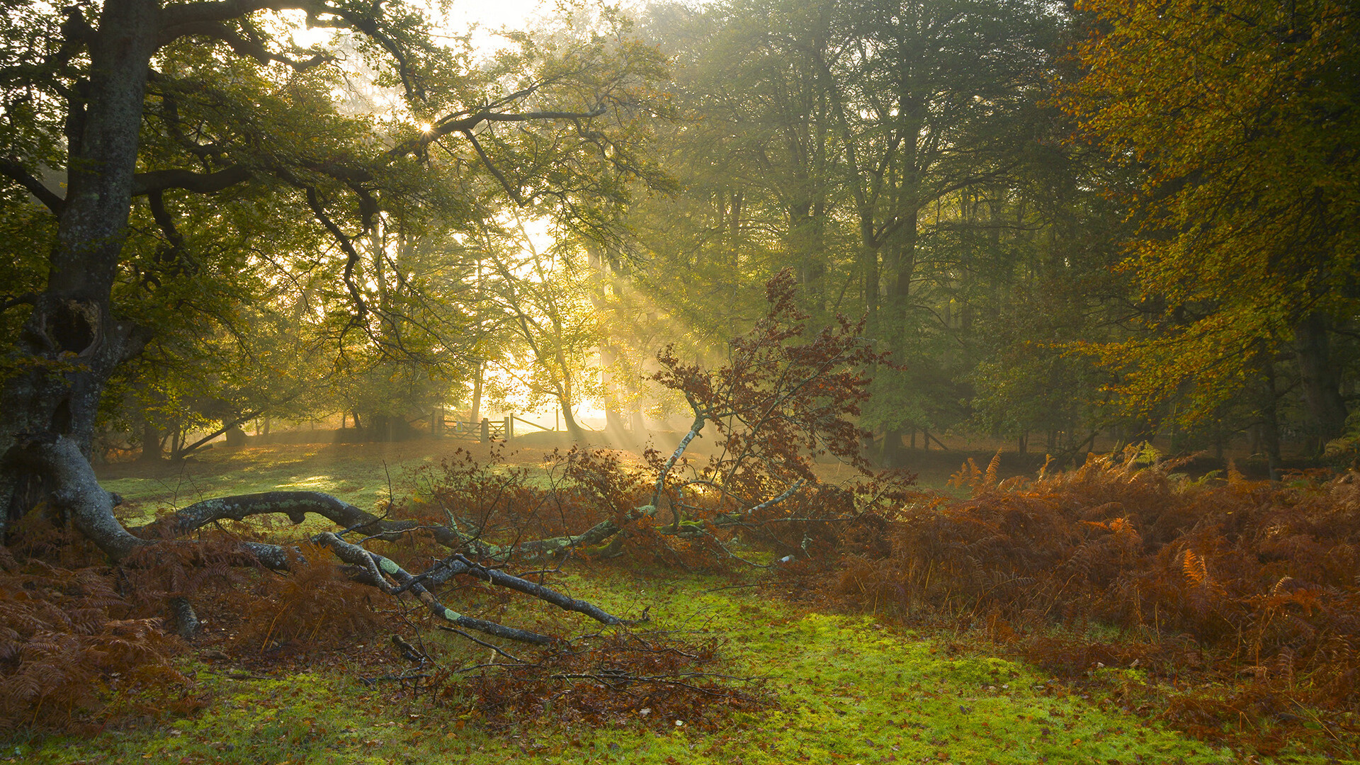 九游登录入口-博洛尼亚积极逼抢令对方难以组织，博洛尼亚宣言成员