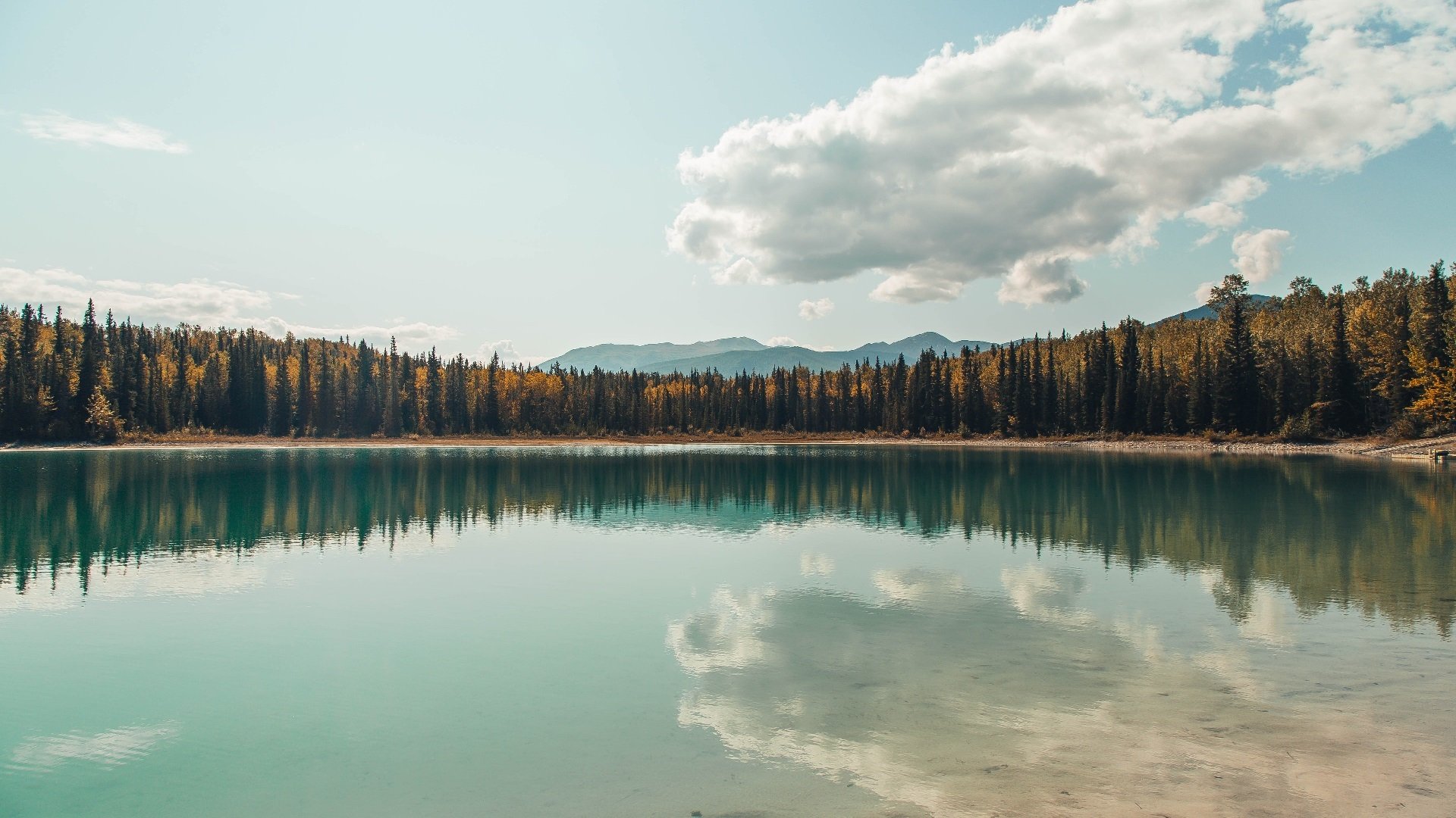 女子马拉松全国冠军赛湖南站激情开跑,女子马拉松冠军中国