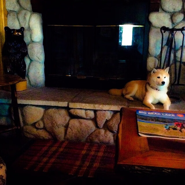 九游-山西龙狮面对强队不惧挑战全力争胜，龙狮队简介