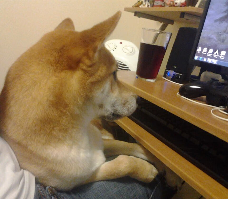 九游下载中心-澳大利亚队在国际乒联混合团体世界杯中的出色表现与不足，澳大利亚乒乓男团