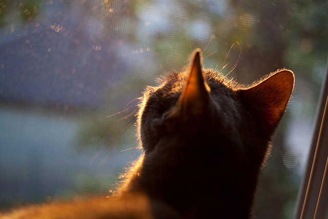 青少年赛事体系不完善,青少年比赛年龄限制