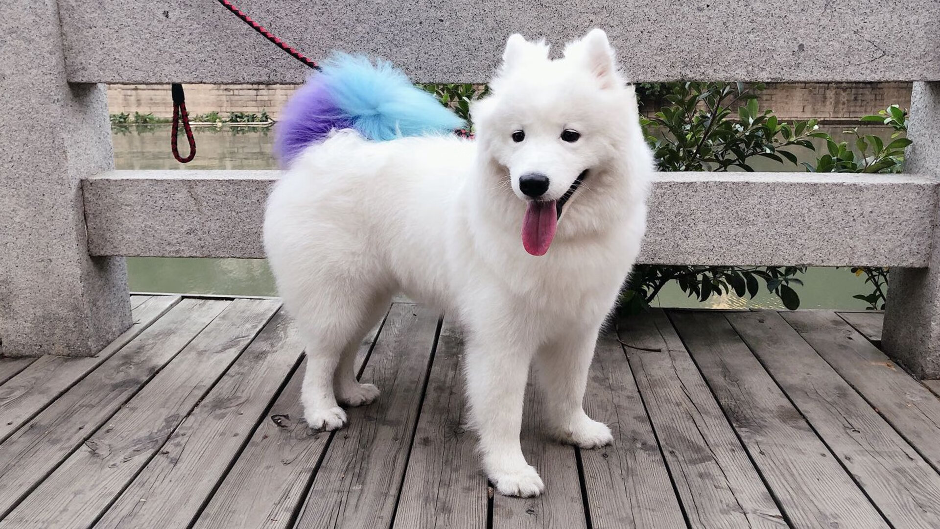 马拉松赛事多城联动提升品牌效应,城市马拉松排名