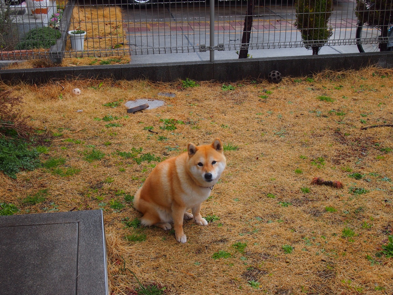 世界杯精彩集锦:瞬间、精彩、奇迹不断!,世界杯的精彩瞬间