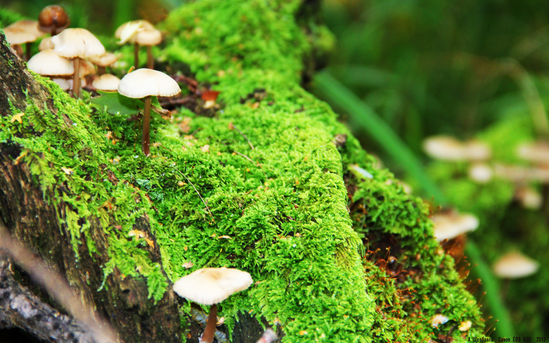 九游登录中心-地方篮球发展大会召开明确未来十年区域篮球振兴目标，篮球发展规划