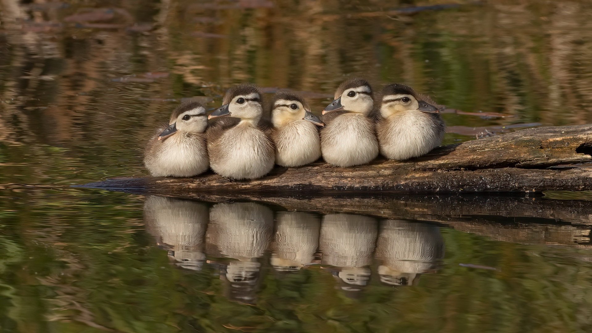 接力换人传接动作细节改进，接力切换