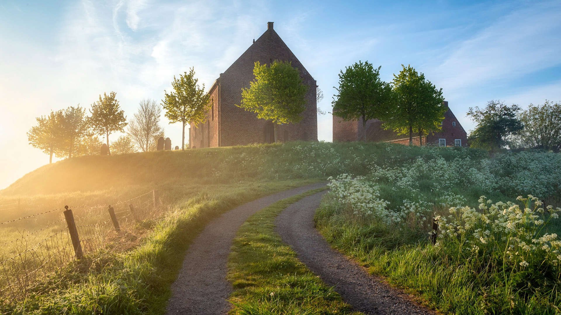 未来足球比赛场馆融入创新生态系统，打造绿色可持续典范，足球场馆建设